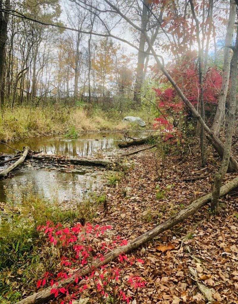 A Trail System Built for Real Exploration