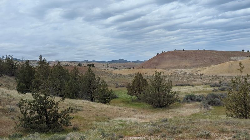 Practical Tips Before You Hit the Road