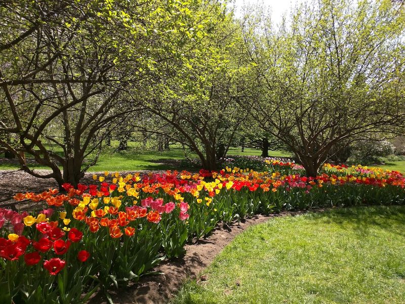 Floral Displays That Rival Any Botanical Garden in the Region