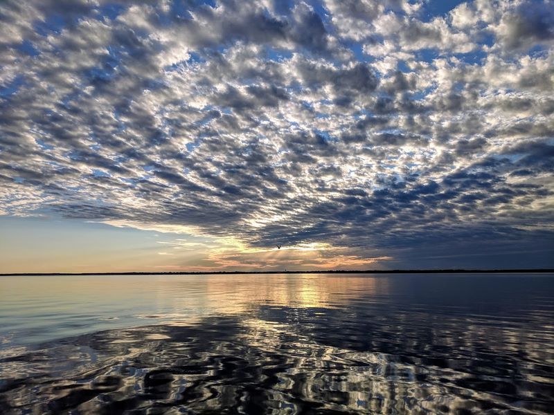 Caledon State Park and the Bald Eagle Experience