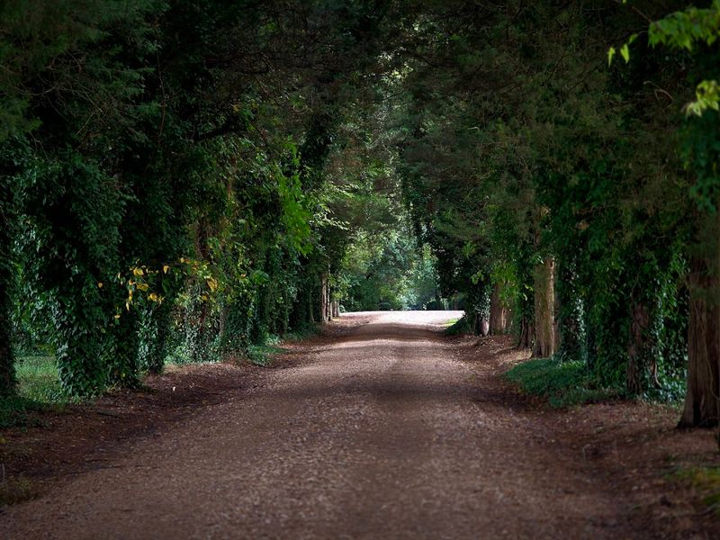 Planning Your Visit to Berkeley Plantation in Virginia
