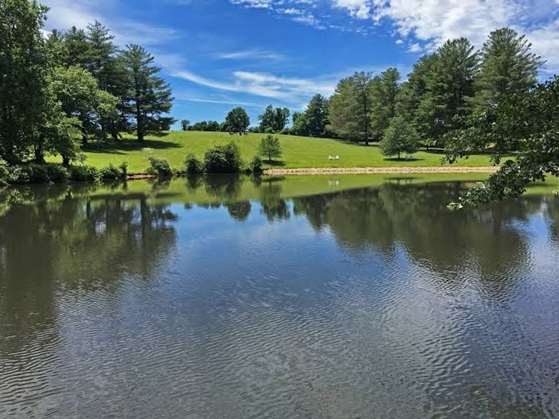 300 Acres of Pure Virginia Countryside to Roam Freely
