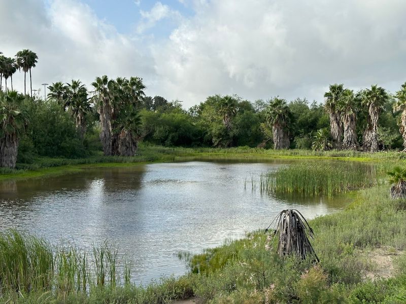 Day Trips and Natural Escapes Nearby