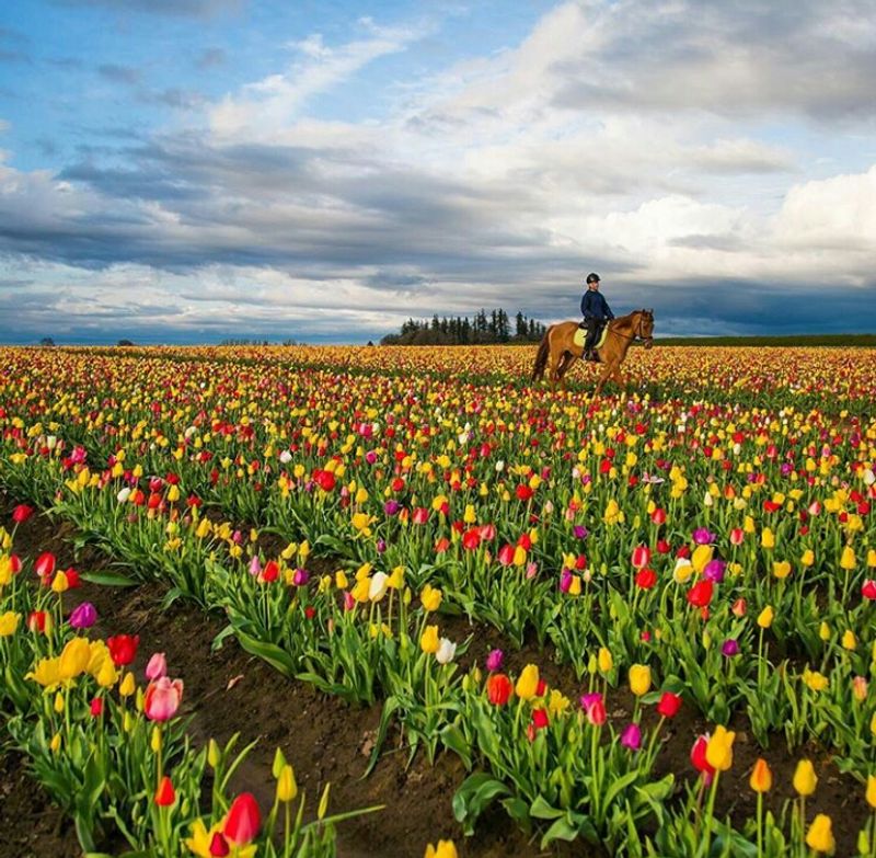 Why Woodburn Stays With You Long After You Leave