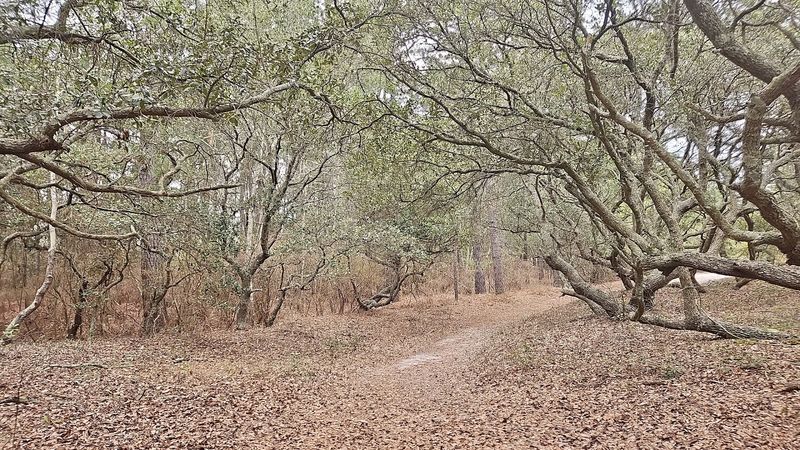 Wildlife, Wilderness, and Wide-Open Skies