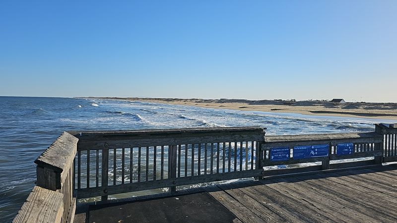 Seasonal Fishing: When to Visit for the Best Action