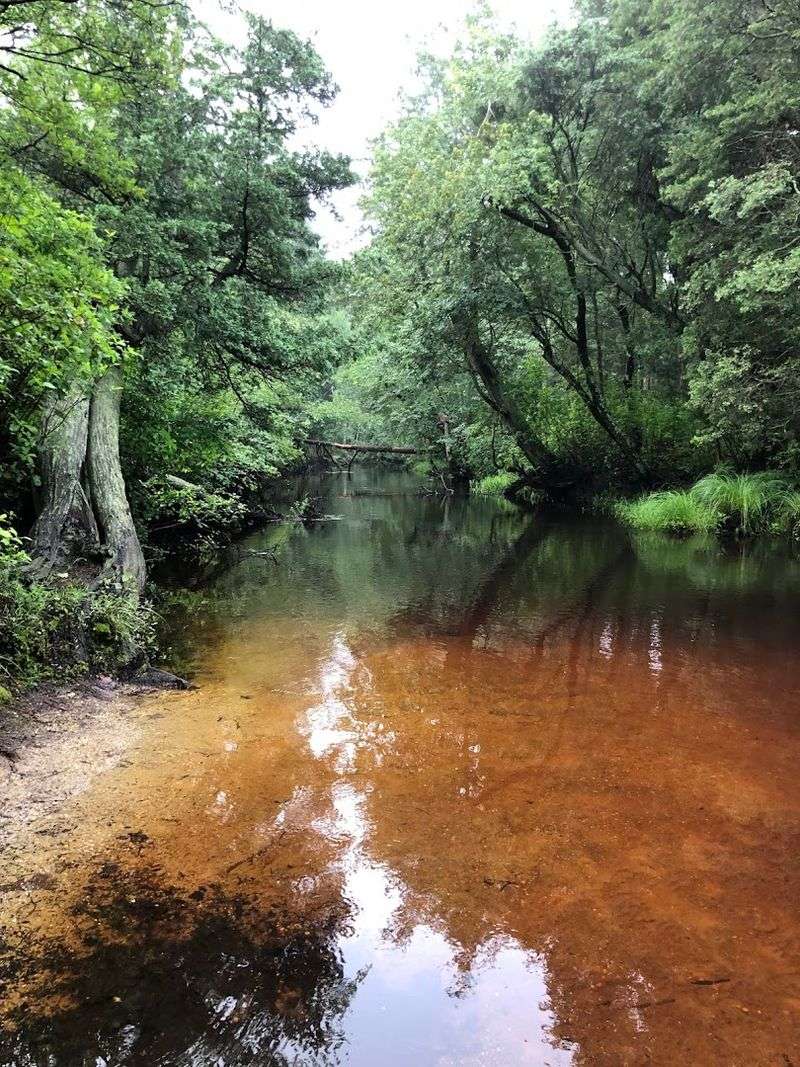 The River Setting That Makes Everything Better