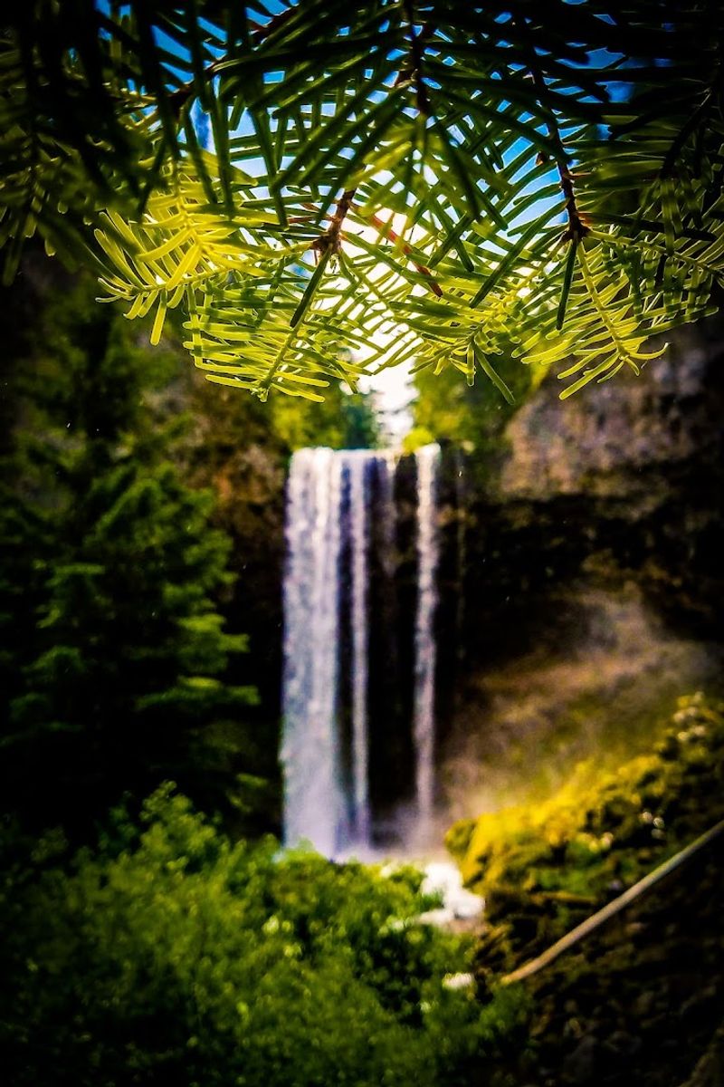 Photography Tips: Capturing the Magic Without Frustration