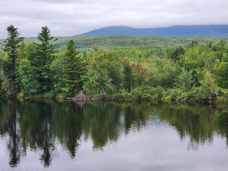 Paddling the Ponds: A Canoe Route Worth Every Stroke