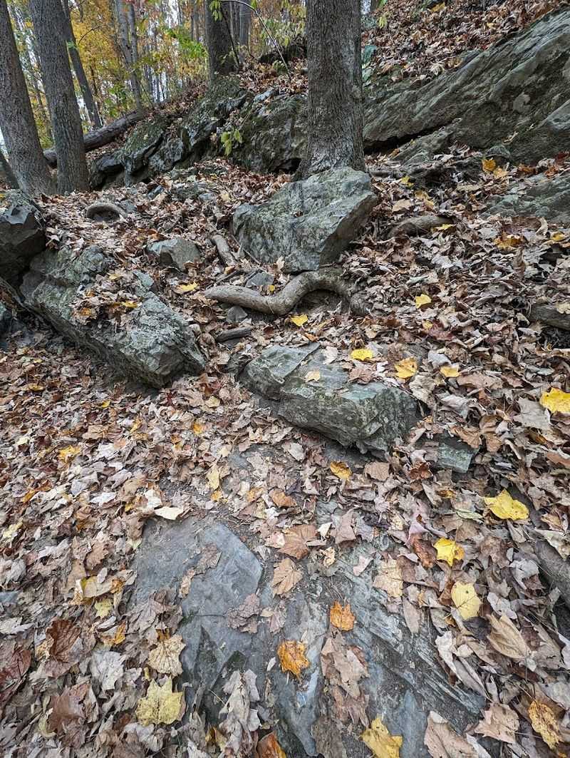 Trail Conditions and What to Wear