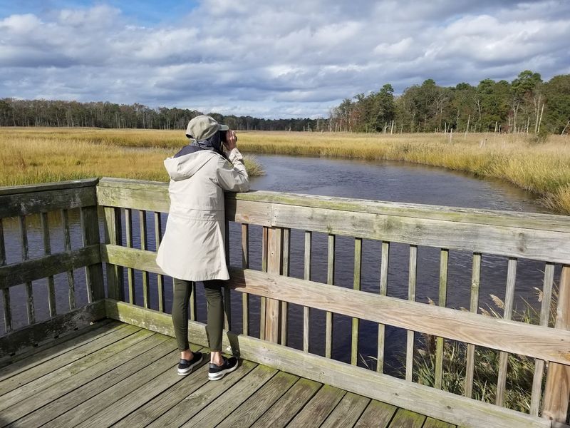 Why This Quiet Preserve Deserves a Spot on Your New Jersey Bucket List