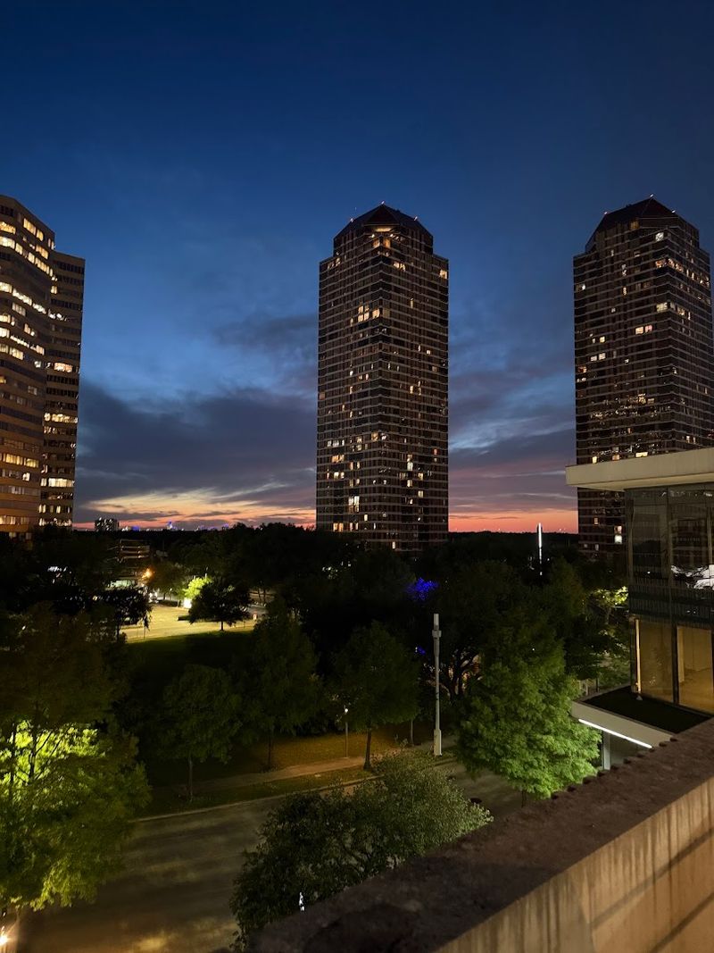 The Houston Skyline as Your Backdrop