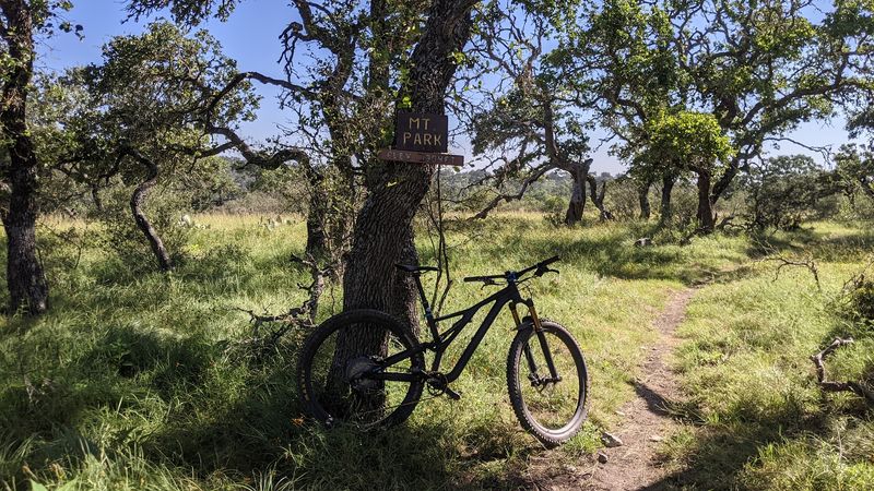 Why Riders Keep Coming Back: The Honest Appeal of Flat Rock Ranch