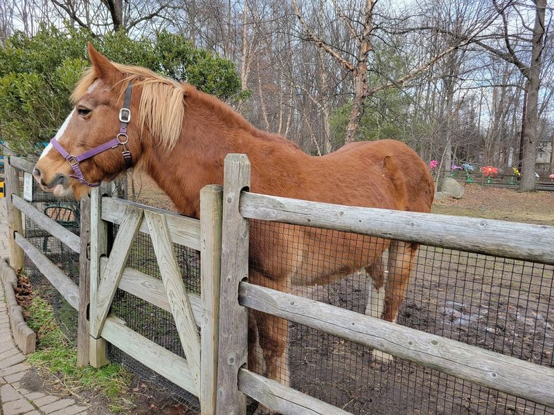 Why This Little Zoo Deserves a Spot on Your Family's List