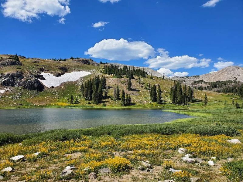 The Geological Story Behind Wyoming's Granite