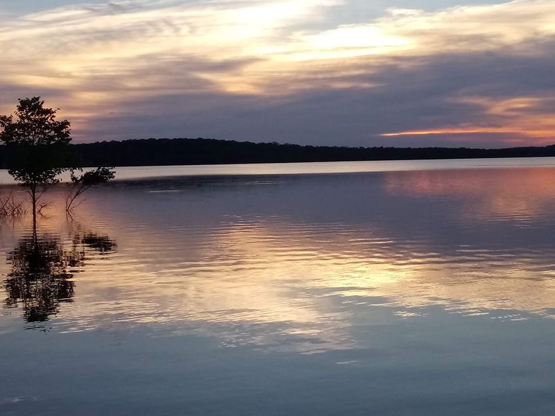 Swimming and Family Outings at the Lake