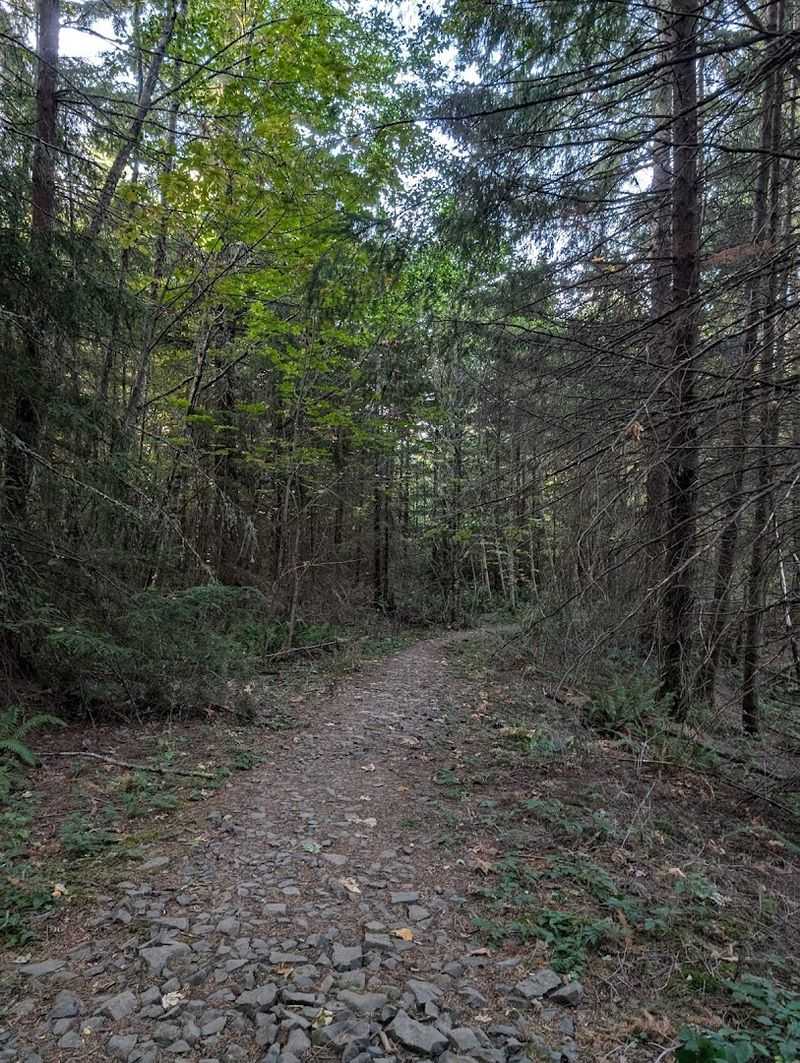 Cross-Country Trails on the North Side