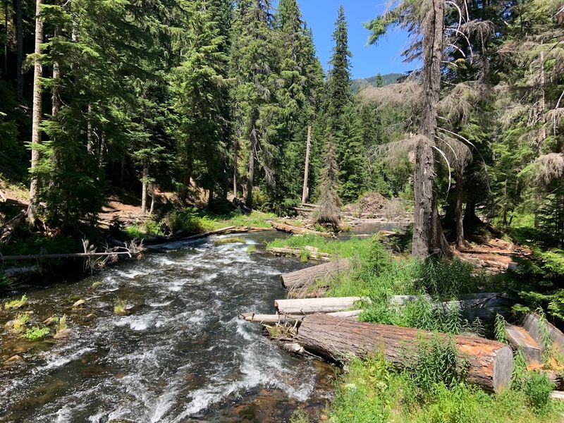 Wildlife You Might Encounter Along the Way