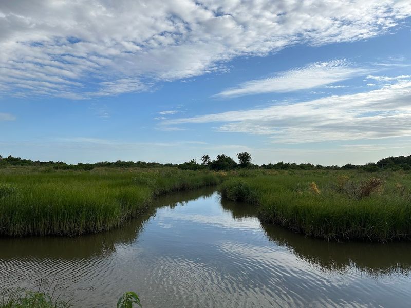 The Wetlands, Ponds, and Bay Shoreline That Define the Landscape