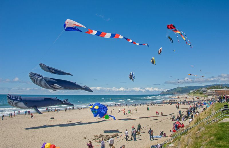 The Magic of Giant Kites in the Sky