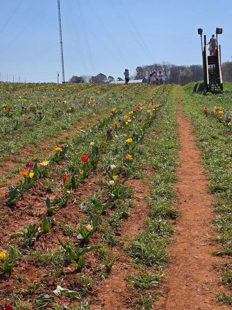 Seasonal U-Pick Fun Keeps Things Changing