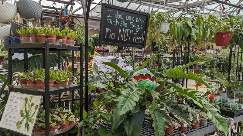 Plan Your Visit to This Richmond Gem