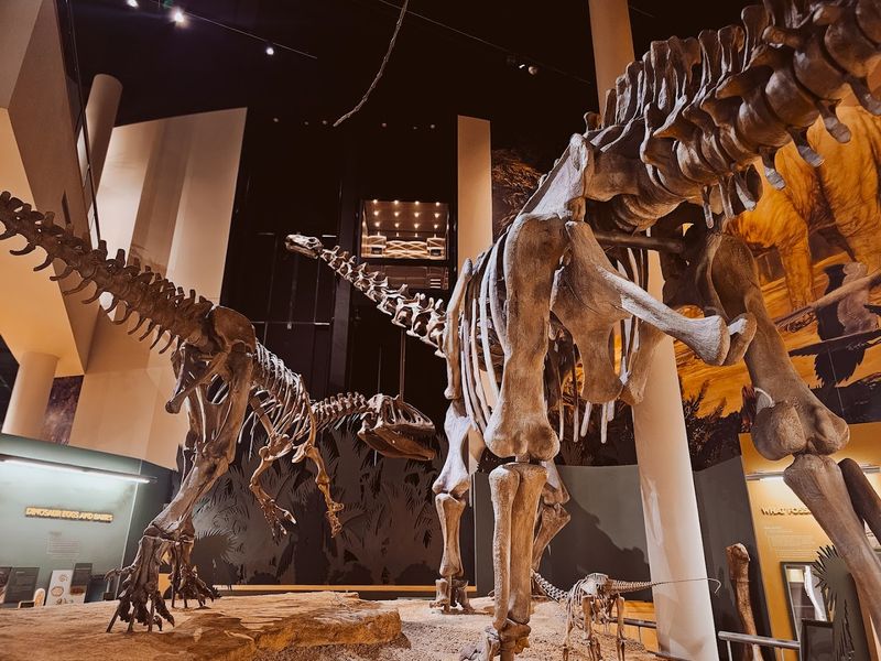 Sam Noble Museum Brings Natural History to Life