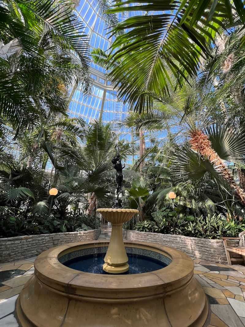 Rare and Exotic Plants in the Conservatory