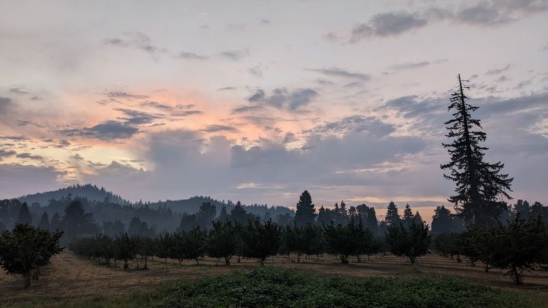 What to Expect If You Are Bringing Older Kids