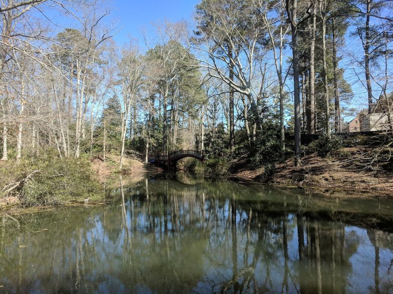 The Pond Beneath the Bridge