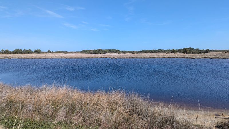 False Cape State Park, Virginia Beach