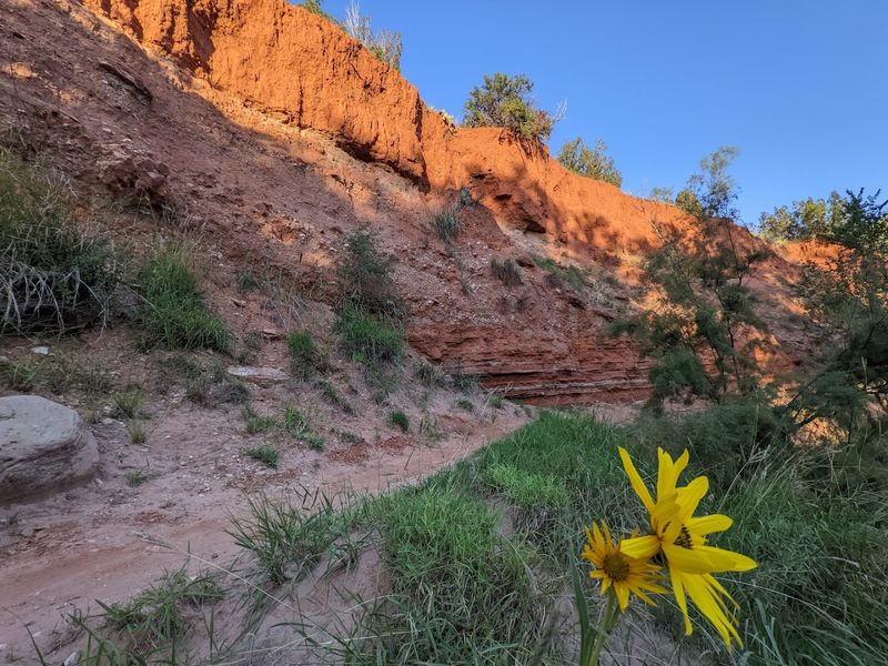 Palo Duro Canyon State Park