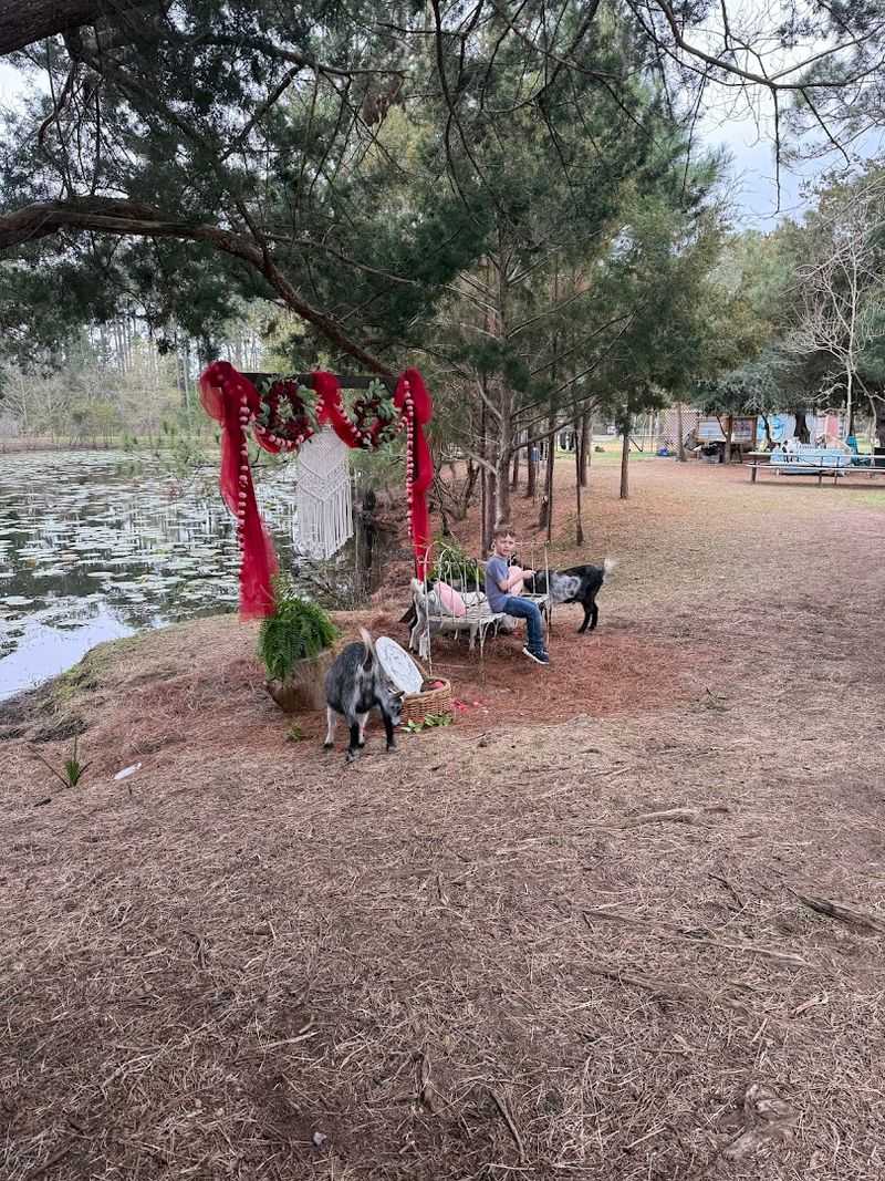 Stand-Up Paddleboard Yoga on Calm Waters
