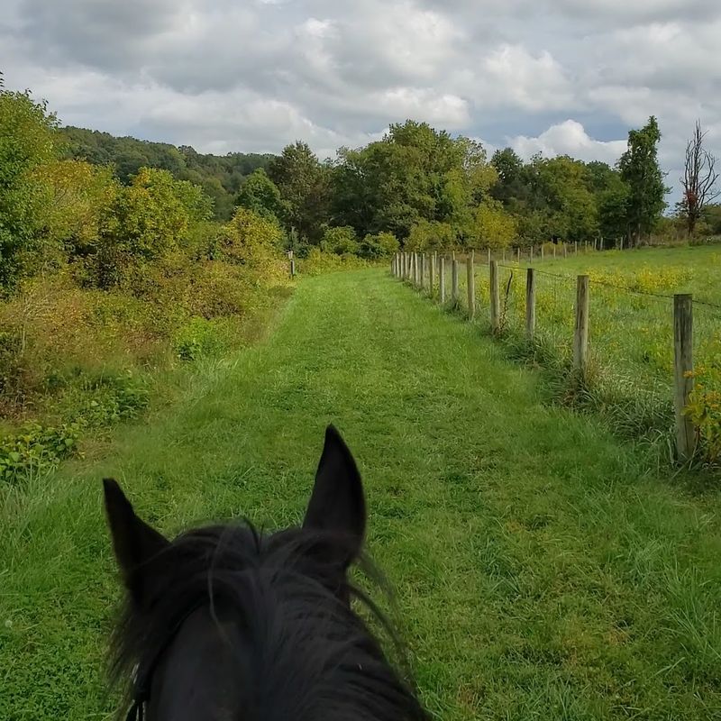Horseback Riding Through Open Meadows