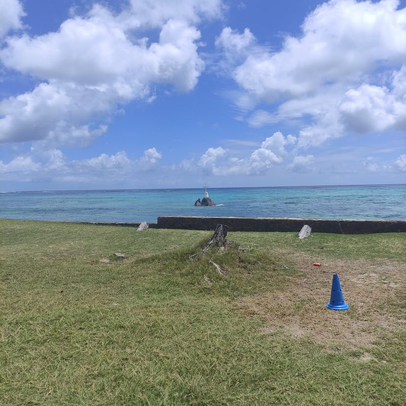 Outdoor Spaces and Natural Surroundings