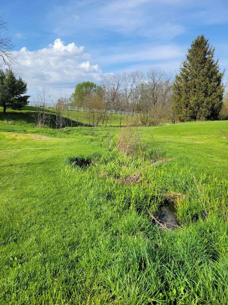 Wooded Trails and a Creek Across 120 Acres