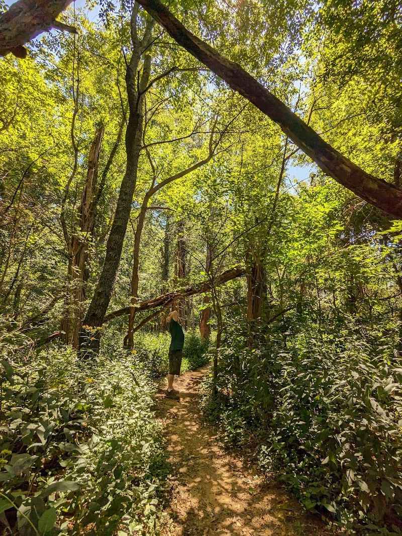 Scenic Trails Through a 500-Acre Nature Preserve