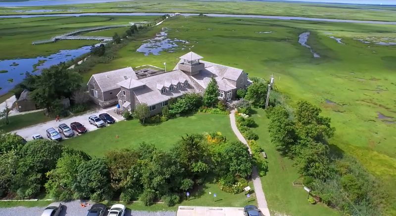 Hands-On Programs and Animal Feedings