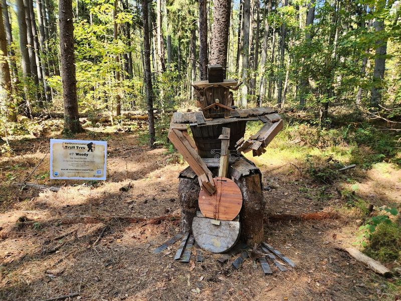 Wildlife Along The Creek Corridor