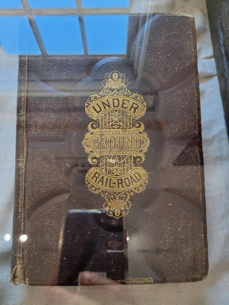 What the Museum Exhibits Actually Show You