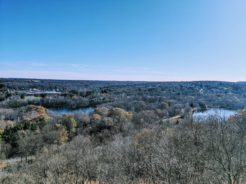 Cactus Ledge and the NYC Skyline Surprise