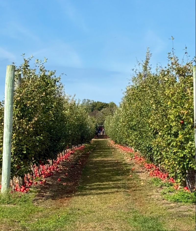 This Mattituck Stop Feels Bigger Than Expected