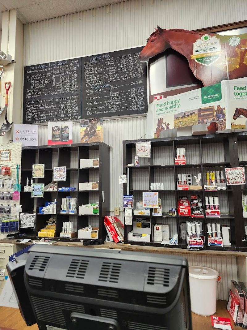 Veterinary and Barn Supplies: Everything Your Horse Needs to Thrive