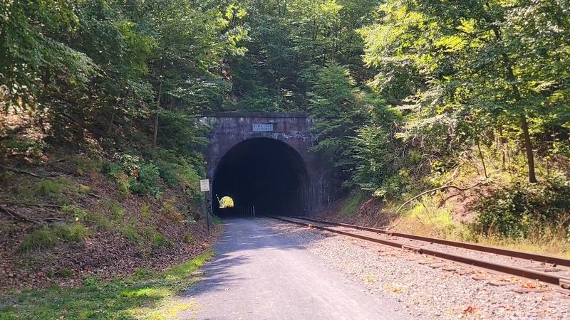 Brush Tunnel: A Cool, Dark Passage Under Piney Mountain