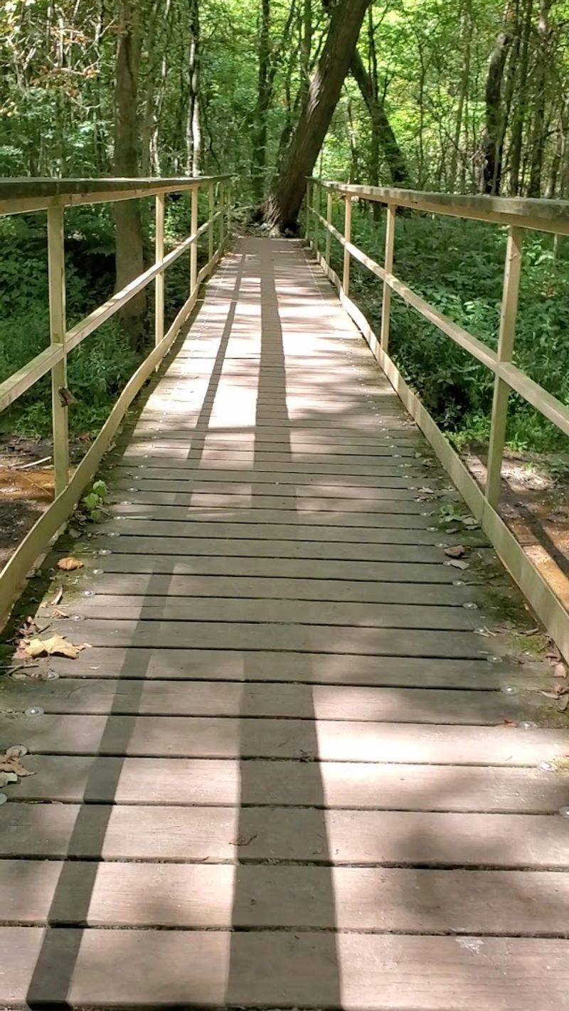 Bicentennial Woods Loop
