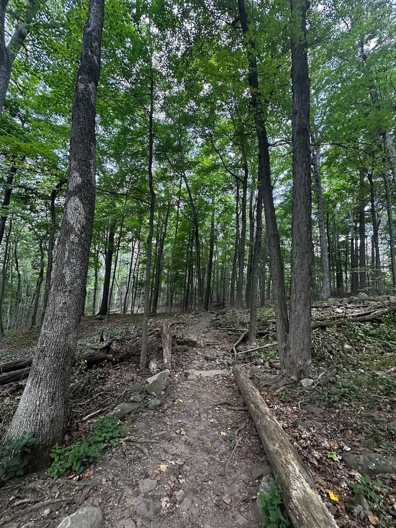 The Trail System: Miles of Pure Outdoor Freedom