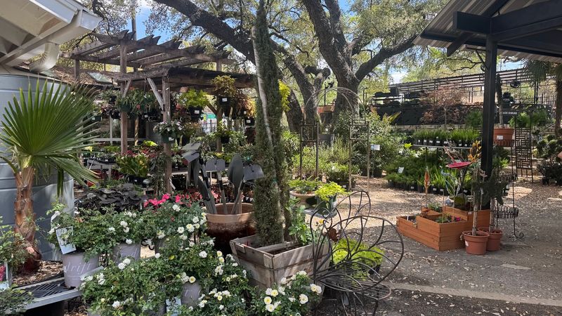 Why The Great Outdoors Feels Like a Real Austin Institution