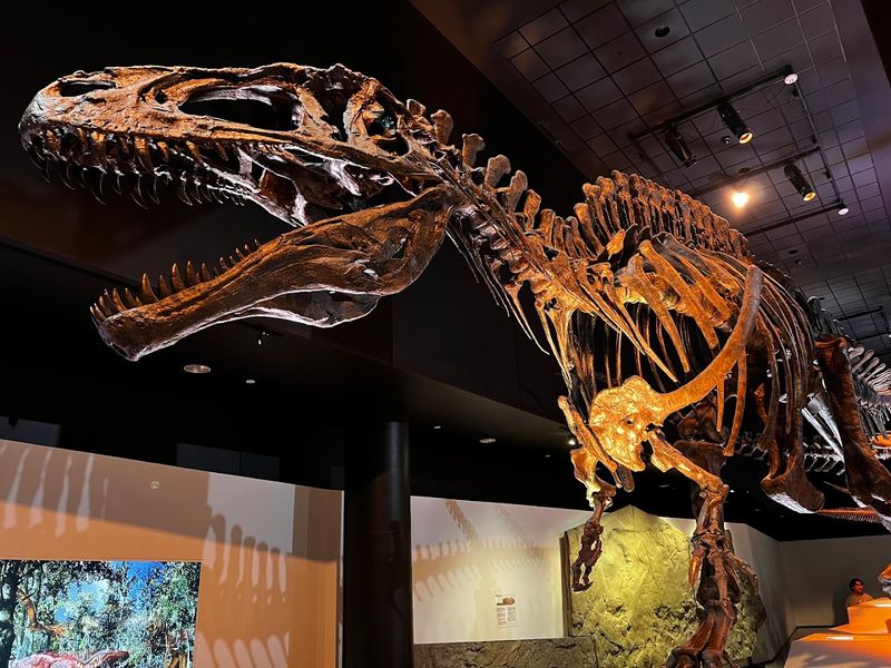 Planning Your Visit: Tips for Getting the Most Out of Your Evening