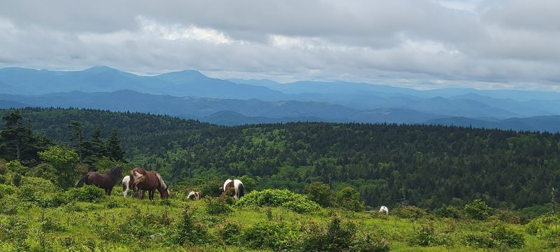 The Appalachian Trail Connection: A Brief Brush With Legend