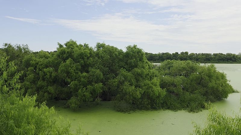 Year-Round Birding Beyond the Spring Spectacle